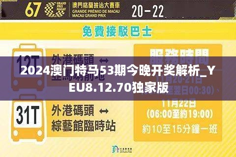 2024年澳门特马今晚-精选解释解析落实